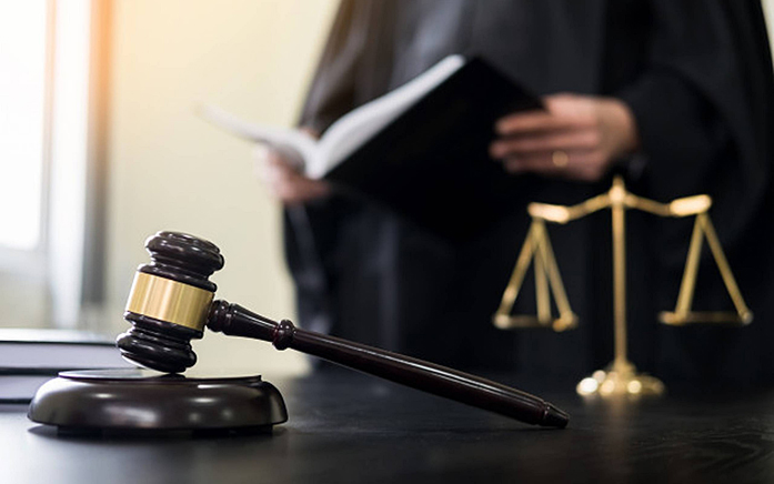 LITIGATION SERVICES